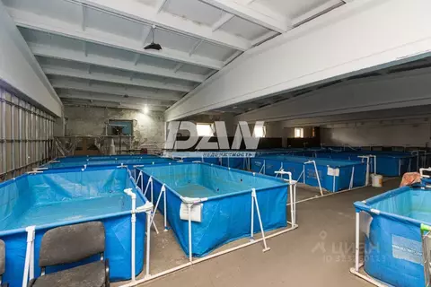 Производственное помещение в Челябинская область, Копейск ул. Мира, 4 ...
