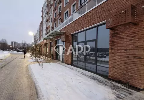 Помещение свободного назначения в Татарстан, Казань ул. Ярдем, 25 (163 ...