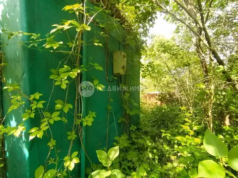 Участок в Рязанская область, Спасский район, Перкинское с/пос, Крона ...