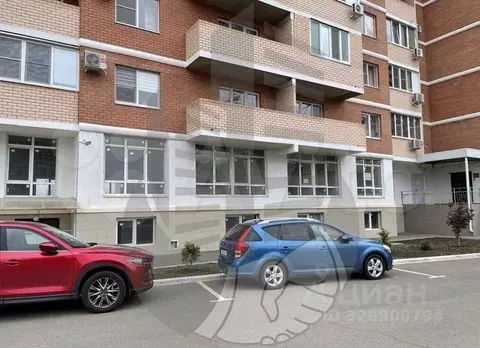 Помещение свободного назначения в Краснодарский край, Краснодар ул. ...