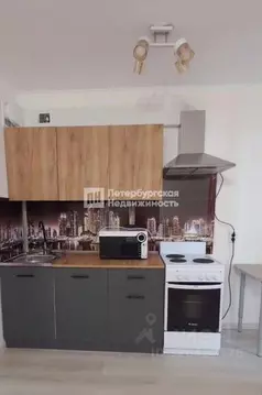 Студия Ленинградская область, Всеволожский район, пос. Бугры ул. ...