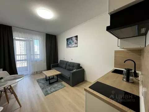 Студия Санкт-Петербург просп. Авиаконструкторов, 63 (25.4 м)