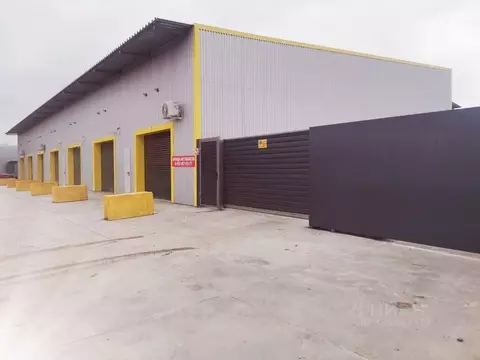 Помещение свободного назначения в Краснодарский край, Краснодар ул. ...