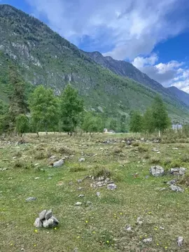 Участок в Алтай, Улаганский район, с. Балыкча  (15.4 сот.)