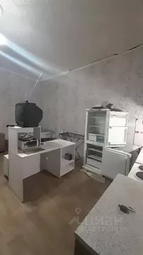 Студия Белгородская область, Белгород Владимирский пер., 1А (36.0 м)