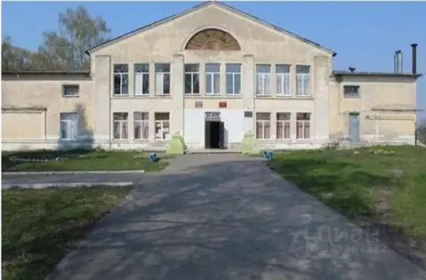 Помещение свободного назначения в Брянская область, Почепский район, ...