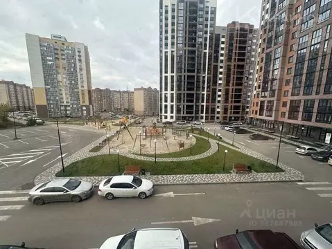 Студия Воронежская область, Воронеж Острогожская ул., 156/3 (25.54 м)