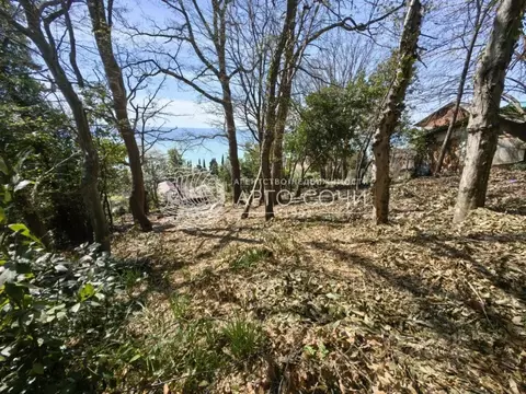 Участок в Краснодарский край, Сочи Лазаревское жилрайон, ул. Суворова ...