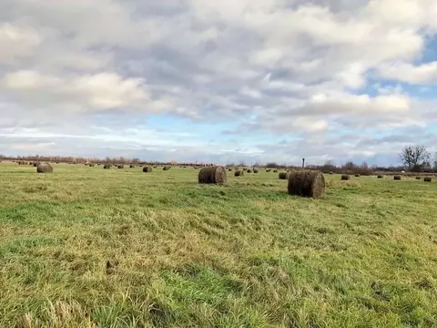Участок в Калининградская область, Полесский муниципальный округ, пос. ...