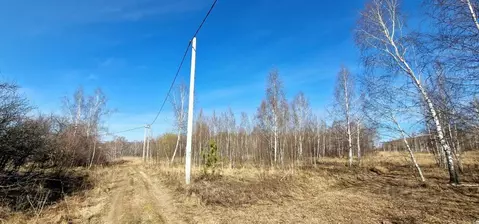 Участок в Нижегородская область, Кстовский муниципальный округ  (15.3 ...