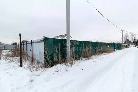 Участок в Тюменская область, Тюмень Якорь садовое товарищество, ул. ...