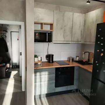 Студия Воронежская область, Воронеж ул. 9 Января, 233/40 (24.5 м)