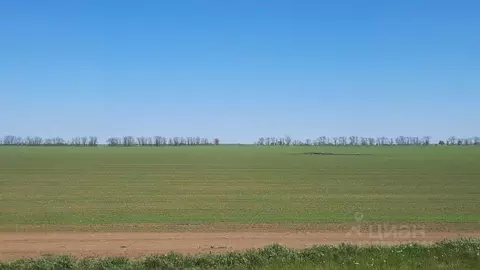 Участок в Крым, Сакский район, с. Кольцово ул. Новые Черемушки ...