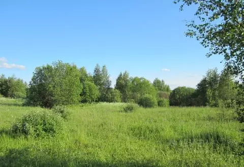 Участок в Ярославская область, Переславль-Залесский муниципальный ...