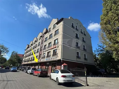 Помещение свободного назначения в Калининградская область, Калининград ...