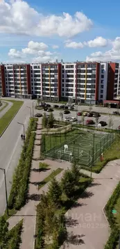 Студия Санкт-Петербург просп. Буденного, 23к1 (24.36 м)