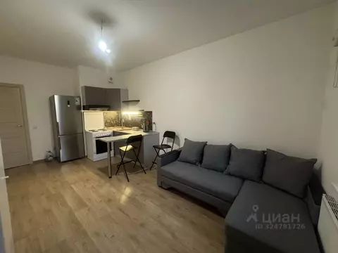 Студия Ленинградская область, Мурино Всеволожский район, бул. ...