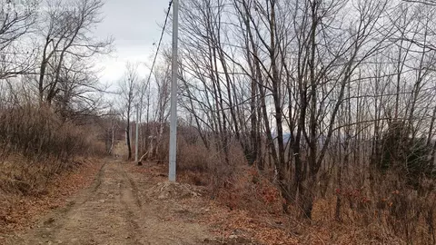 Участок в Артём, СТ Глобус-1 (10 м)