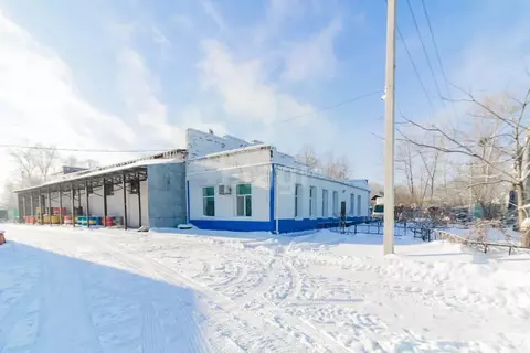 Помещение свободного назначения в Хабаровский край, ...