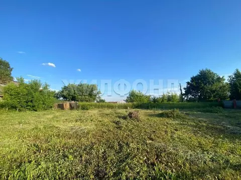 Участок в Брянская область, Брянский район, Супоневское с/пос, с. ...