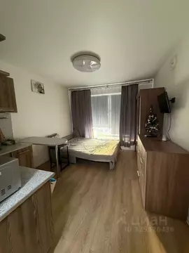 Студия Московская область, Ленинский городской округ, Боброво пгт ул. ...