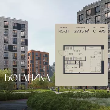 Студия Липецкая область, Липецк Авторский жилрайон, Ботаника жилой ...