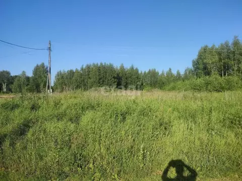 Участок в Ярославская область, Некрасовское рп ул. Волжская, 15А (14.0 ...