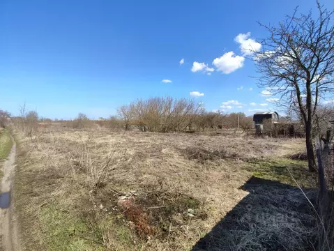 Участок в Брянская область, Брянский район, Снежское с/пос, с. ...