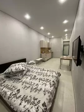 Студия Башкортостан, Уфа ул. Менделеева, 137к3 (25.78 м)