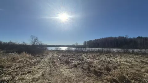 Участок в Владимирская область, Киржачский муниципальный округ, ...