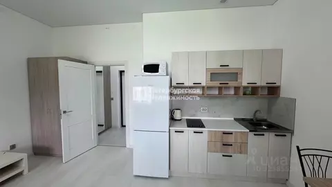 Студия Санкт-Петербург Пулковское ш., 95к3 (25.2 м)