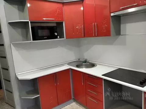 1-к кв. Алтайский край, Барнаул ул. Сергея Семенова, 17 (40.0 м)