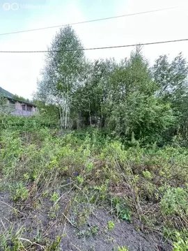 Участок в Манжерокское сельское поселение, село Озёрное, Грибная улица ...