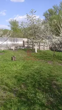 Участок в Орловская область, Залегощенский район, с. Моховое ...