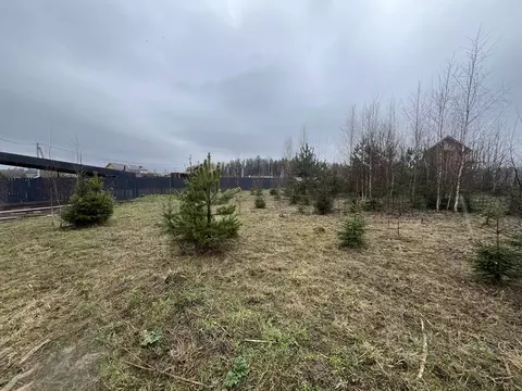 Участок в Московская область, Солнечногорск городской округ, Семейный ...
