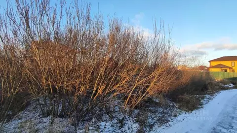 Участок в Московская область, Раменский муниципальный округ, с. ...