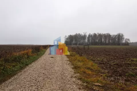 Участок в Тульская область, Новогуровский рп ул. Белкина, 5 (670.0 ...