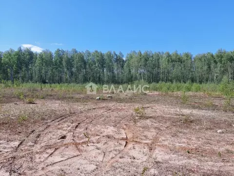 Участок в Ленинградская область, Кировское городское поселение А-120 ...