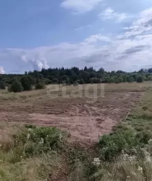 Участок в Вологодская область, Шекснинский район, с. Чуровское  (14.2 ...