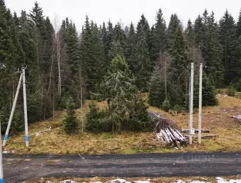 Участок в Московская область, Дмитровский муниципальный округ, ...