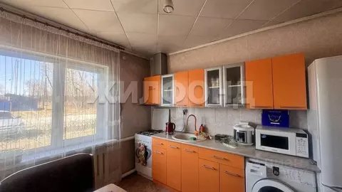 Дом в Хакасия, Алтайский район, с. Белый Яр ул. Кирова (80 м)