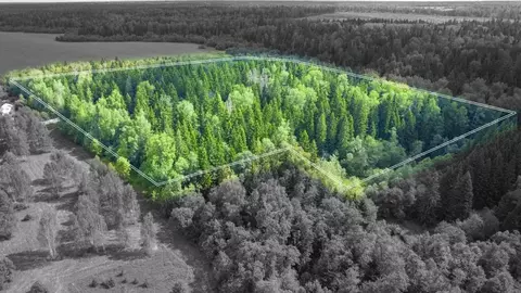 Участок в Московская область, Одинцовский городской округ, Рига лес кп ...