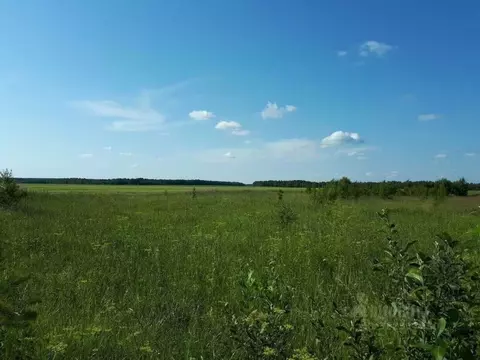Участок в Курская область, Курский район, Нижнемедведицкий сельсовет, ...