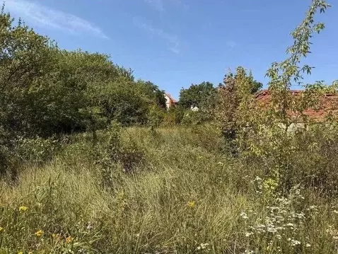 Участок в Белгородская область, Белгородский муниципальный округ, ...