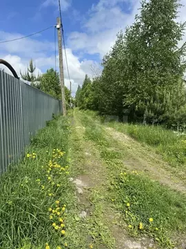 Участок в Вологодская область, д. Пудега 15 (5.5 сот.)