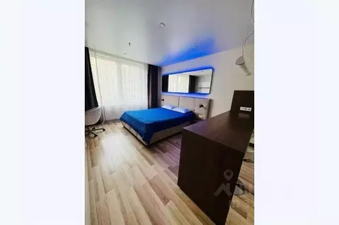 1-к кв. Санкт-Петербург ул. Хошимина, 16А (30.0 м)