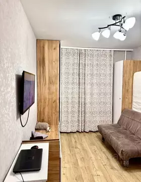 Студия Красноярский край, Красноярск ул. Лесников, 51 (20.1 м)