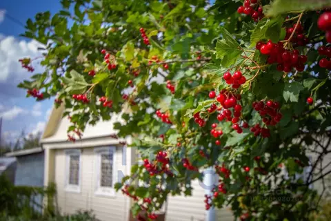Дом в Башкортостан, Кармаскалинский район, Подлубовский сельсовет, ...