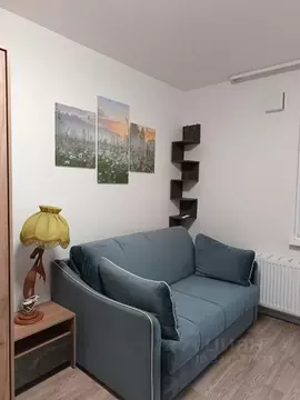 Студия Санкт-Петербург наб. Реки Каменки, 21к1 (25.0 м)