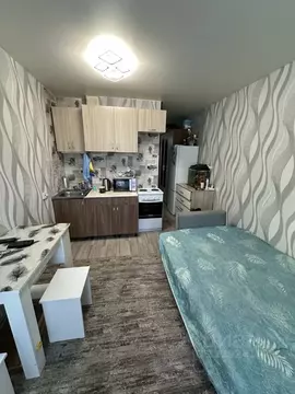 Студия Новосибирская область, Новосибирск ул. Виктора Уса, 15 (19.3 м)